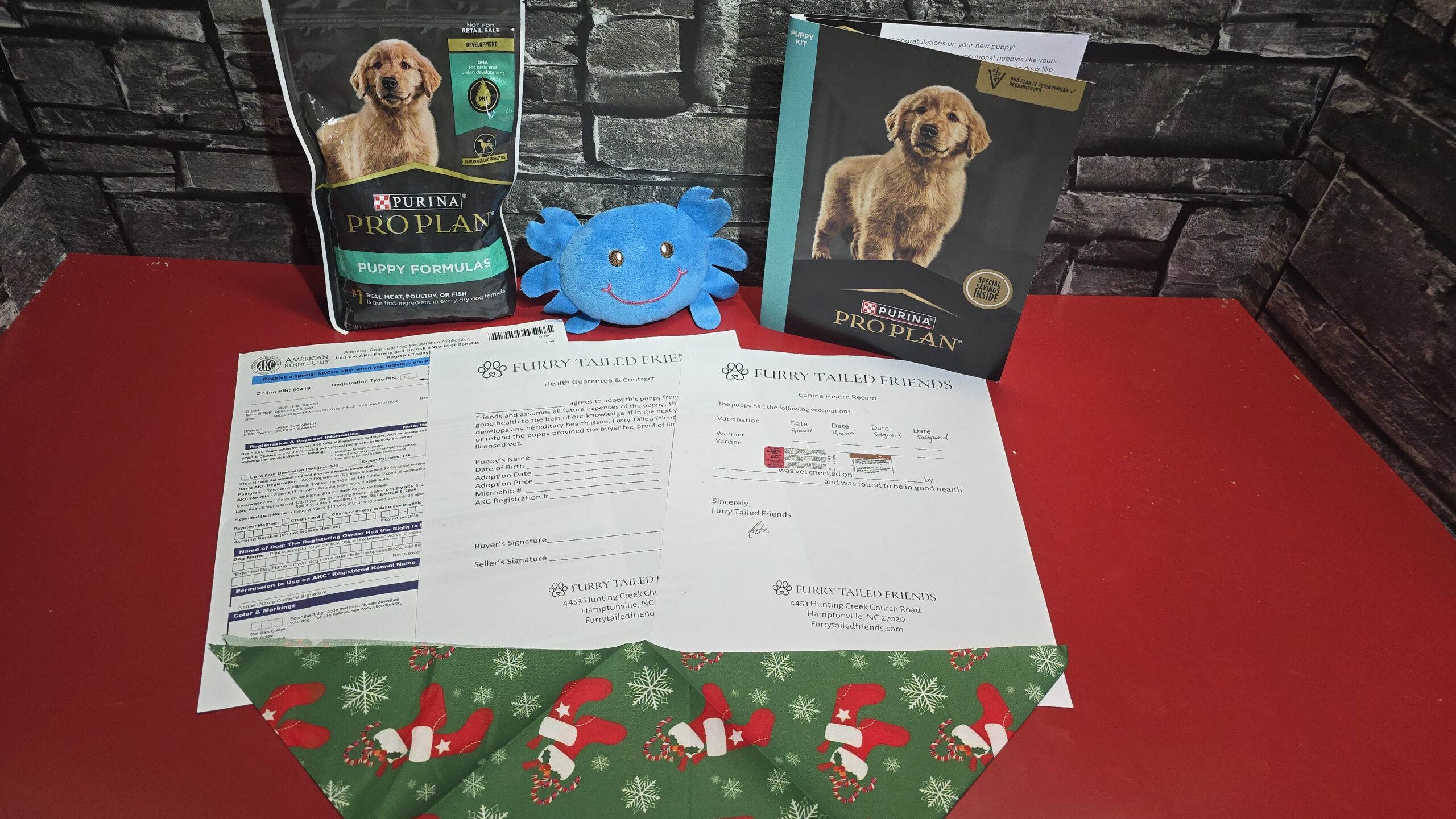 Puppy Package - Updated